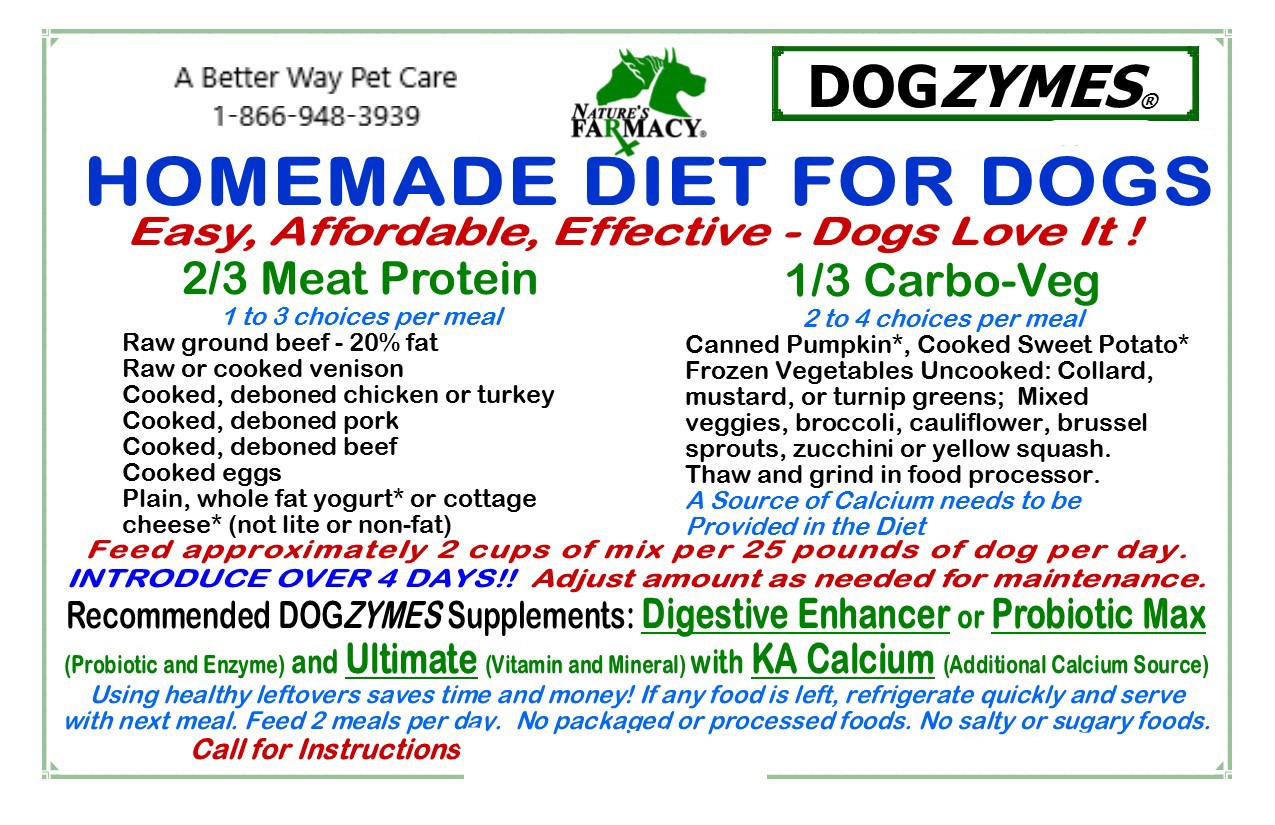 Homemade Diet for Dogs - A Better Way Pet Care